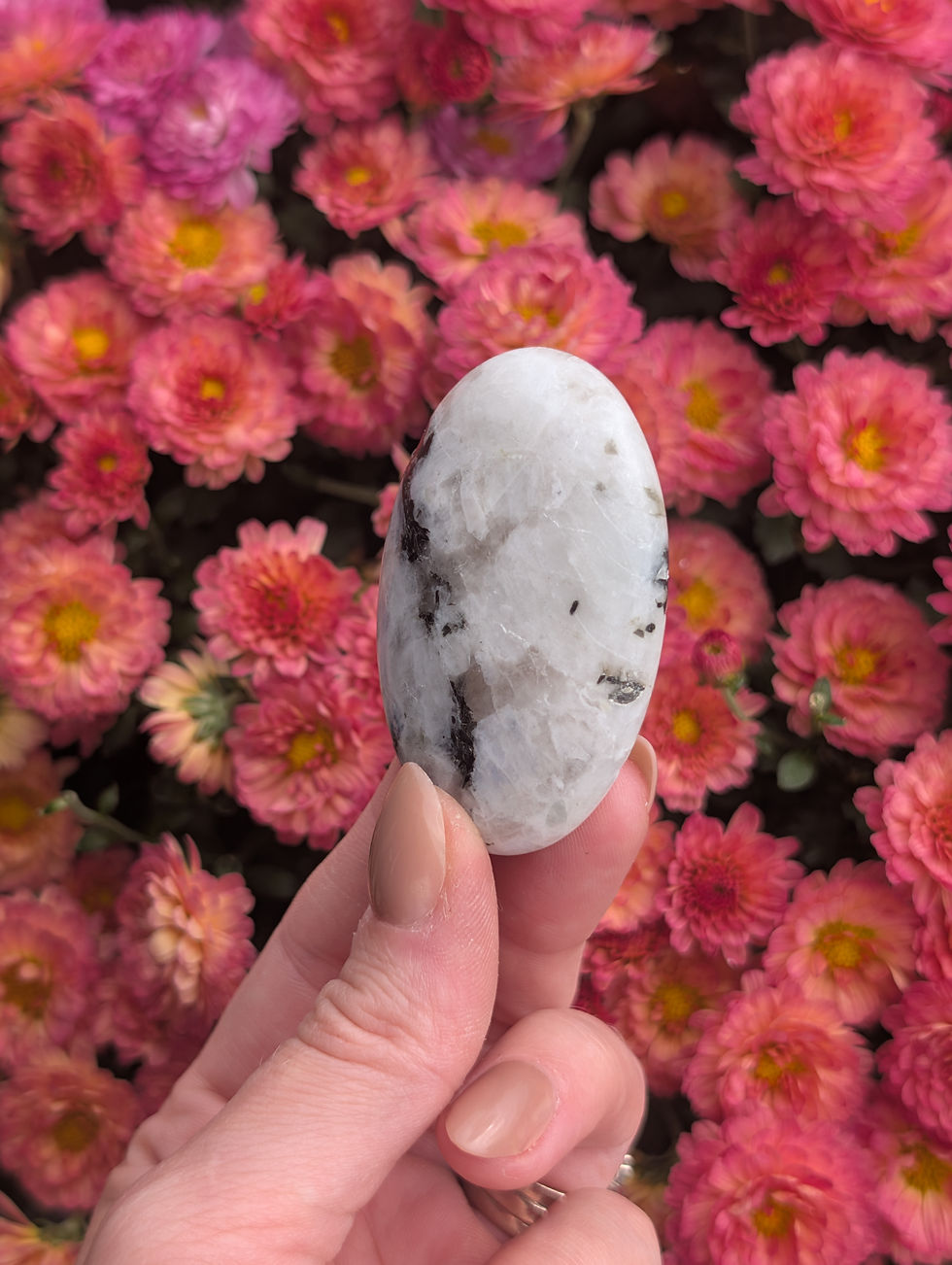 Thumbnail: Rainbow Moonstone Palmstone