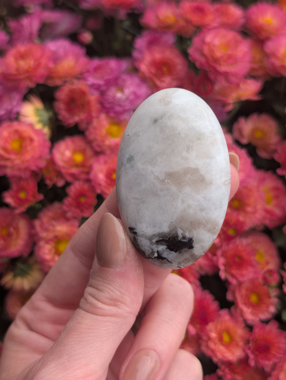 Thumbnail: Rainbow Moonstone Palmstone