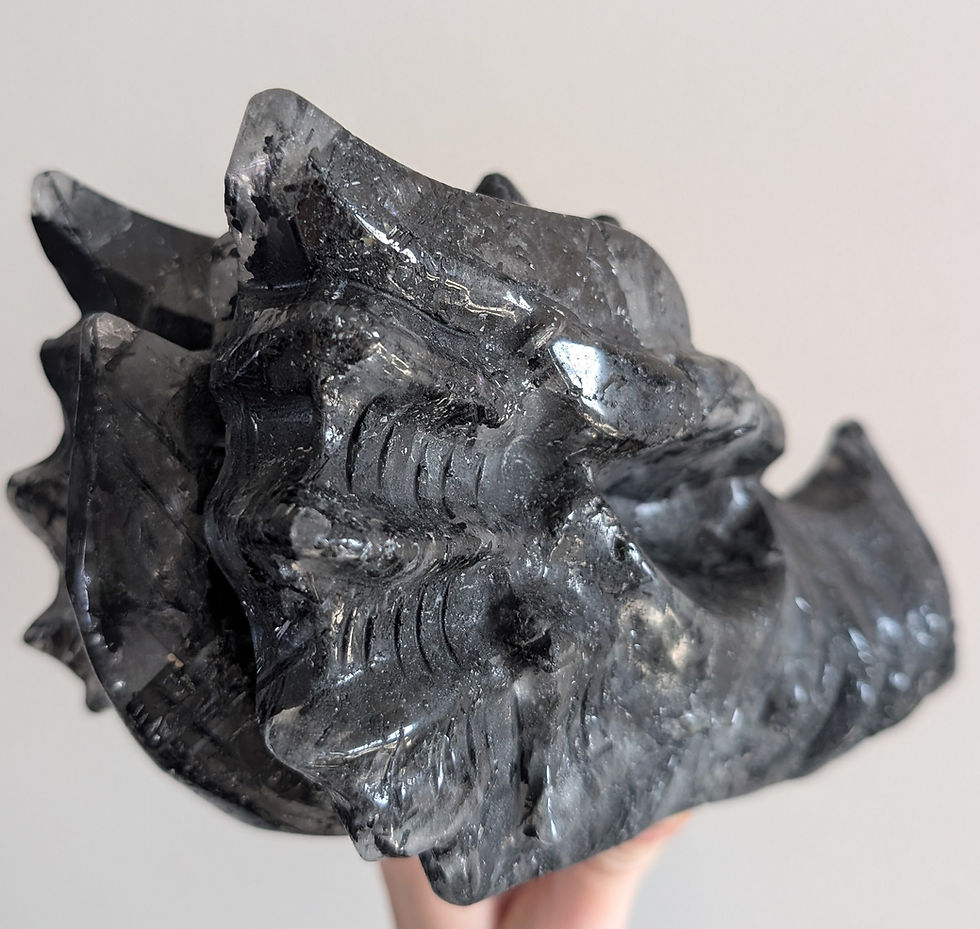 Thumbnail: Black Tourmaline Dragon Head Skull