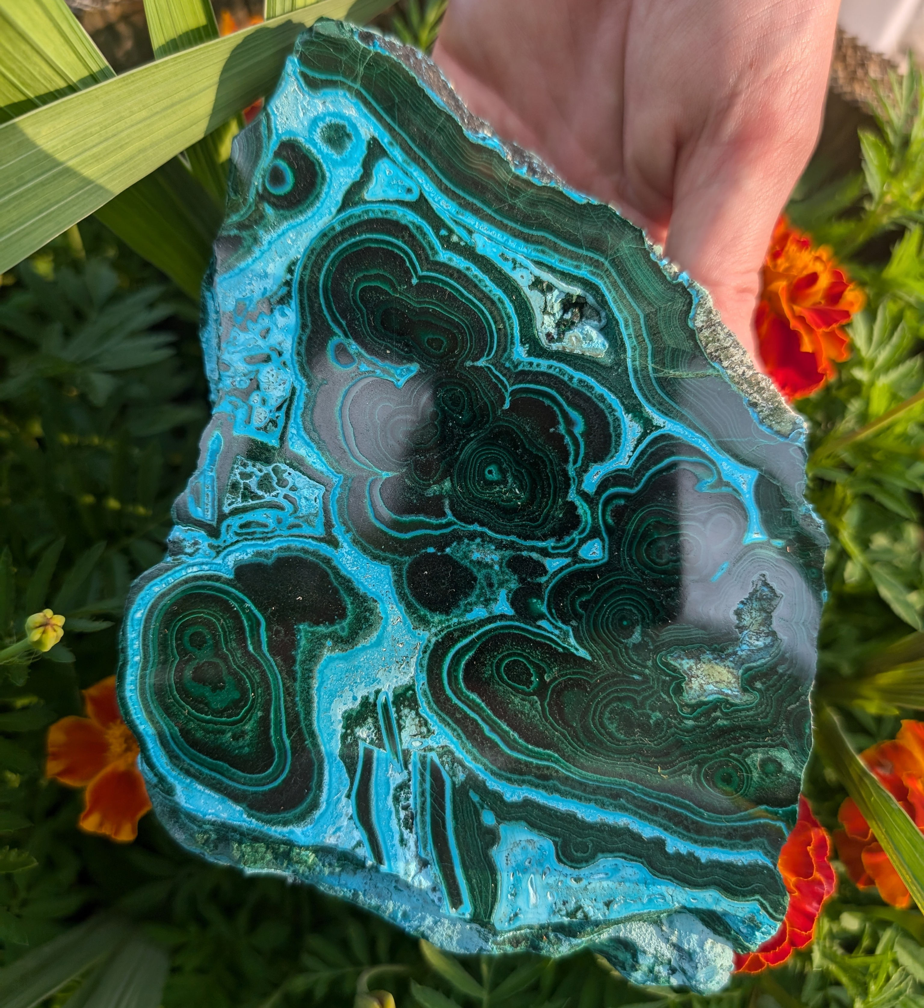 Malachite Slab Chrysocolla