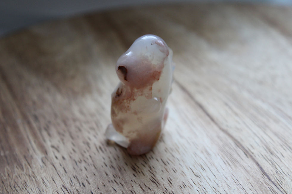 Thumbnail: Flower Agate Dino