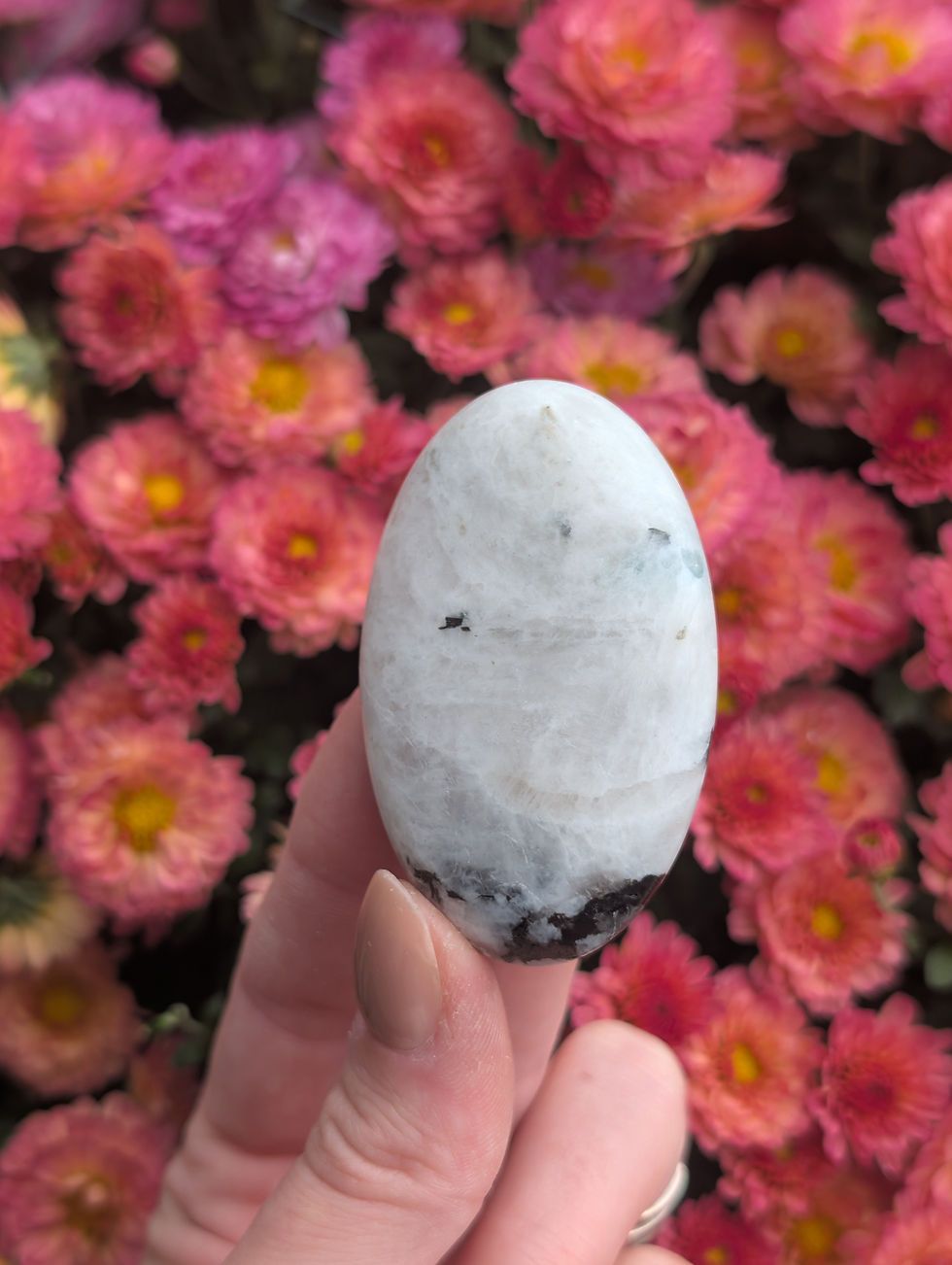 Thumbnail: Rainbow Moonstone Palmstone