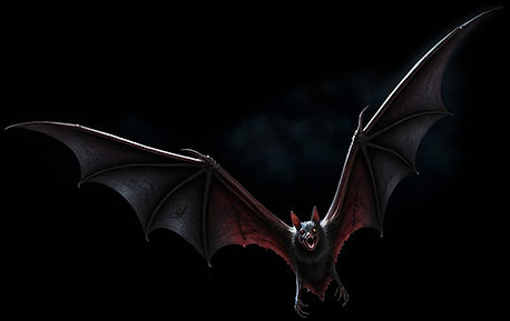 bat, dracula,flaying terror, vampire, pen13k,