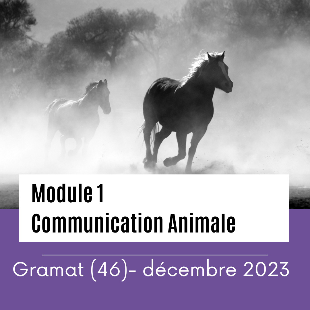 Communication animale - Par Alye