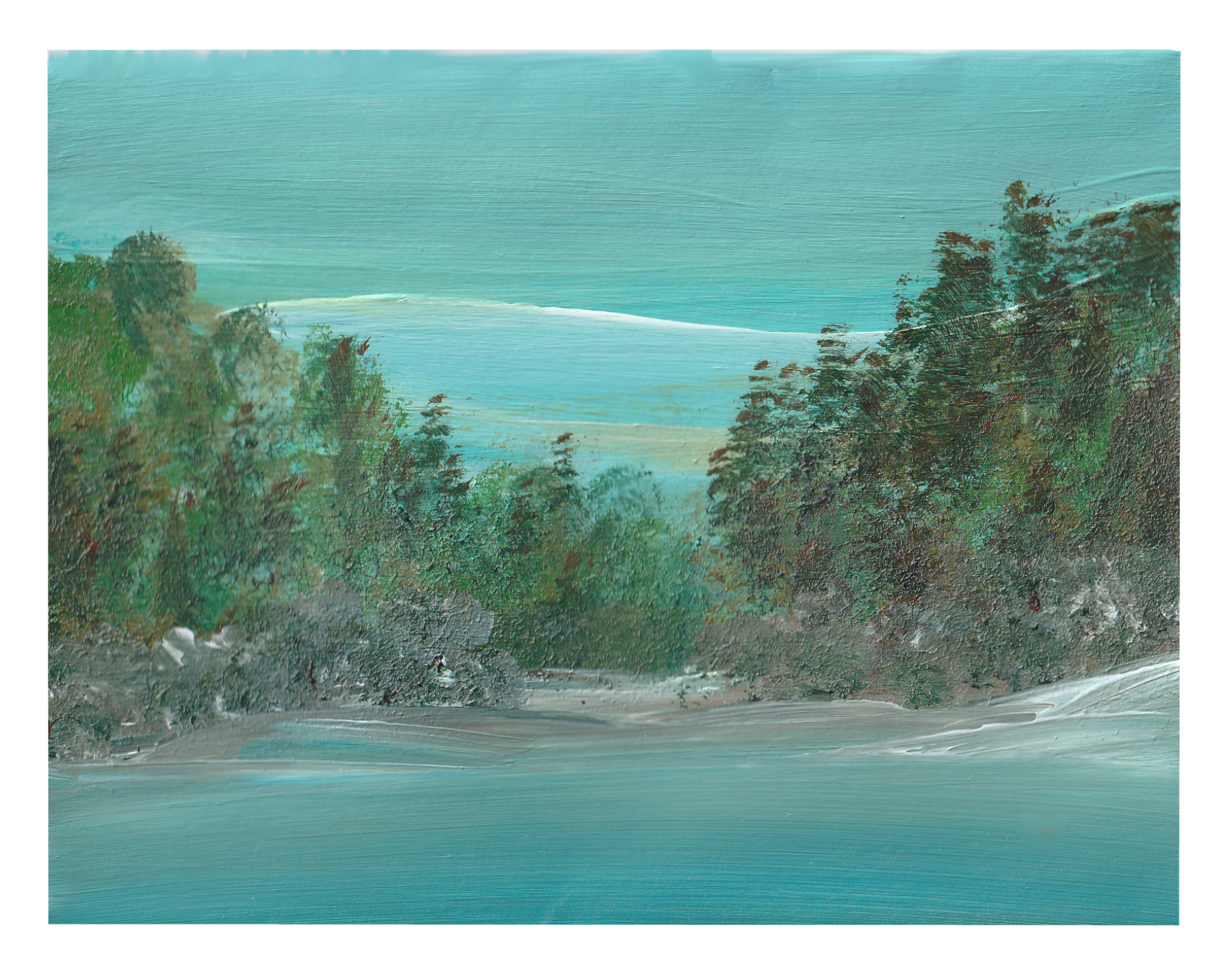 Glance Into the Forrest.