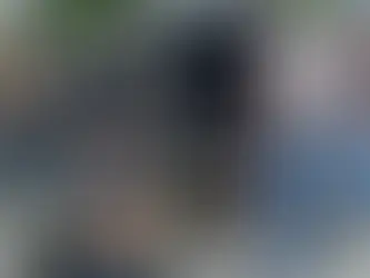Exército e PM fazem operação em Guarulhos sobre furto de metralhadoras