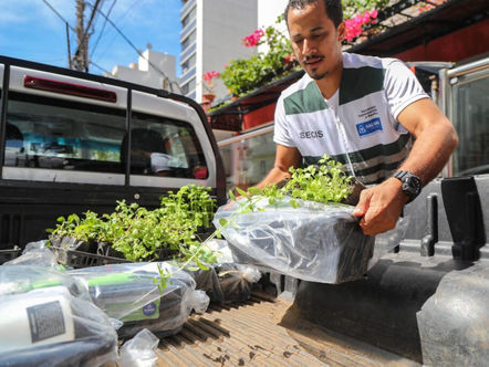 Programa Horta em Casa abre últimas inscrições para 2024