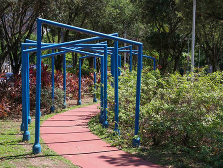 Prefeitura publica chamamento público para o Programa Verde Perto