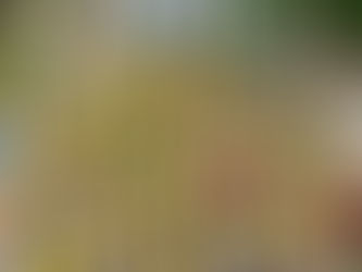 Ciclistas se unem em pedal a apoio a Campanha de Enfrentamento e Prevenção ao Abuso e Exploração Sexual de Crianças e Adolescentes