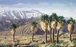 "Old Palm Springs"