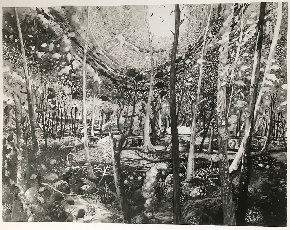 Flood Story: Sunken Forest
