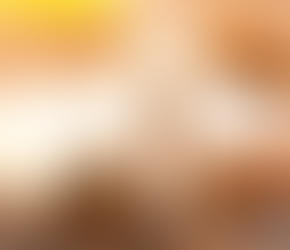 Bulletin for November 30, 2025