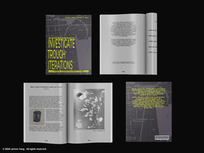 "INVESTIGATING TROUGH ITERATION" Symposium Publication Design