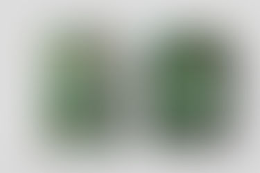 "MONDAY REHEARSED: LEAVING THE PRINTER TO BREATHE, STILL NOT FINISHED" Photography Collection