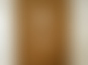 「 治療の書 」 野口晴哉 読書感想|野口晴哉先生の生命哲学に触れる