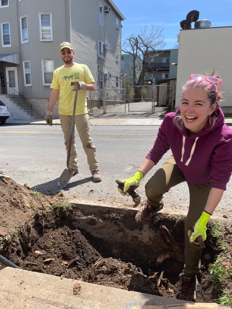 Tree Digging