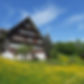 Foto Sommer.jpg