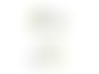 UN ANNO DI MULTI SERVIZI