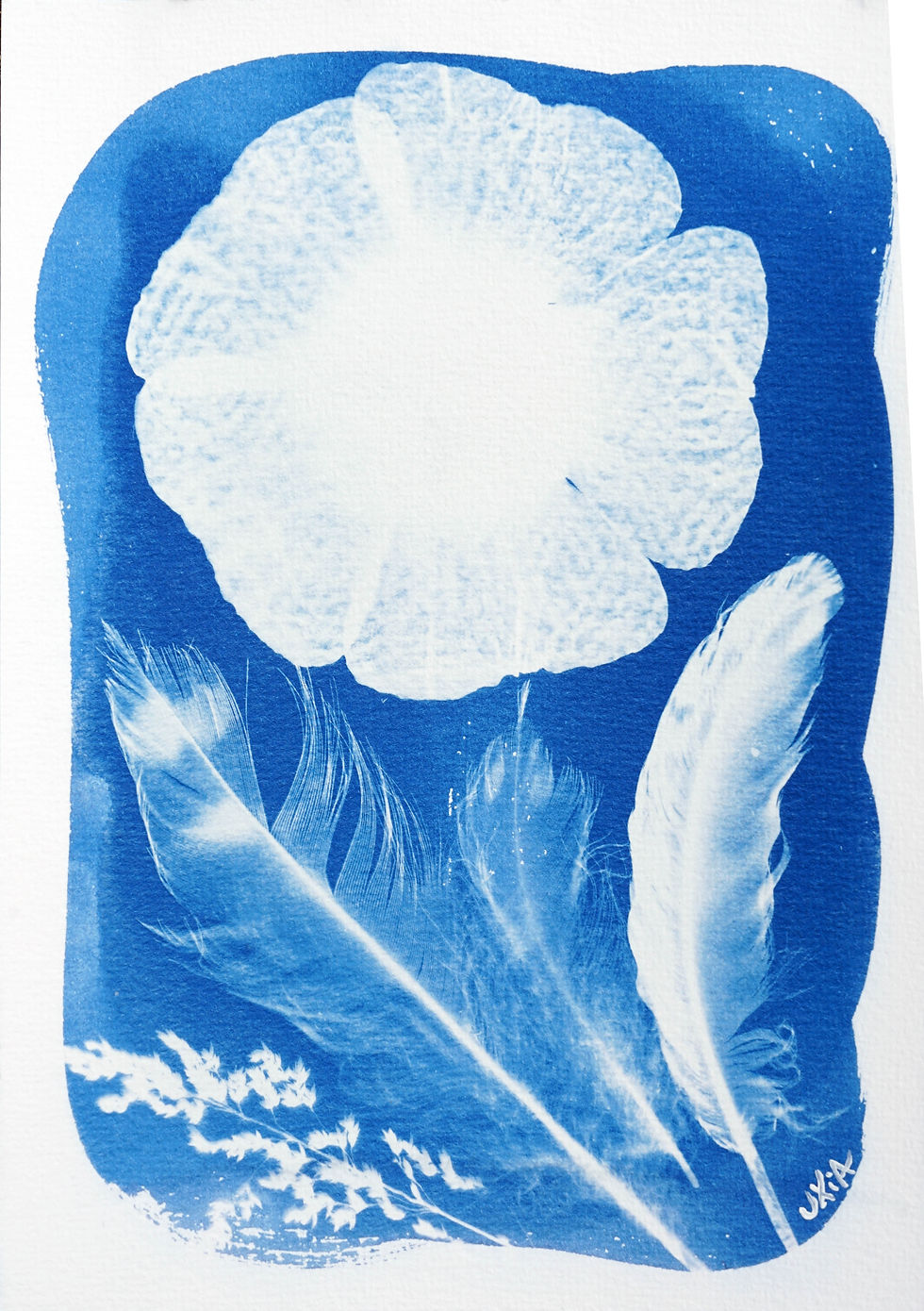 Plumes et rose trémière