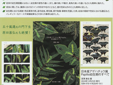 独学で昆虫図鑑