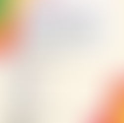 Twee jaar Regenboogalliantie Midden-Nederland. 