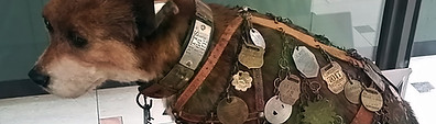 owney exhibit29.jpg