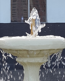 PILETA  (1).jpeg