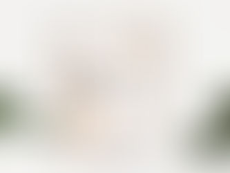 STEELCASE PLATINUM PARTNER 2020