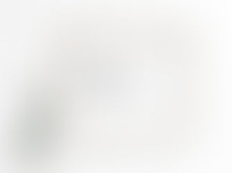 STEELCASE PLATINUM PARTNER 2018