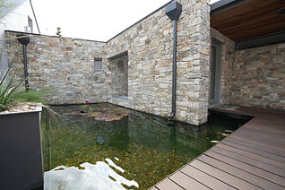 KOI 03.JPG