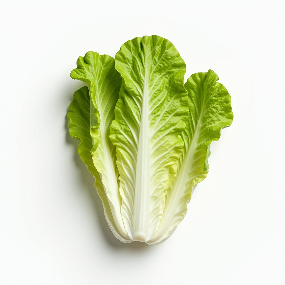 Crisp Butter Lettuce