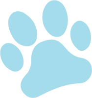 Dog Service