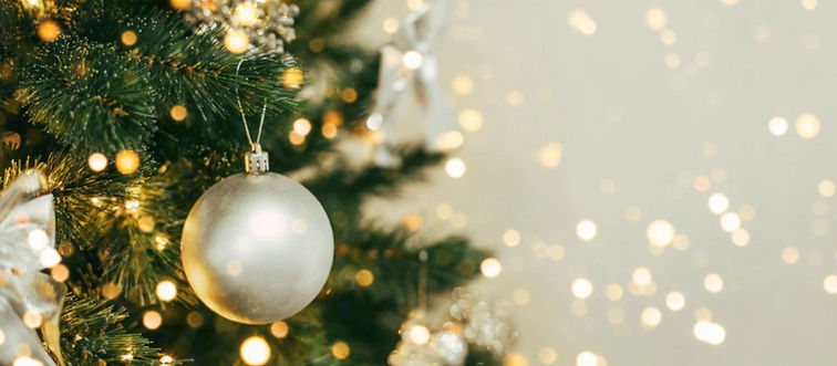 O natal ALP interiores