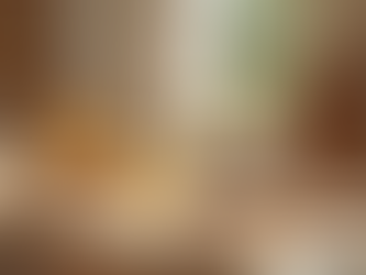 Shop for a Cause: Supporting Dog Adoptions and Rescues