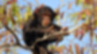 unnamed-3.jpg