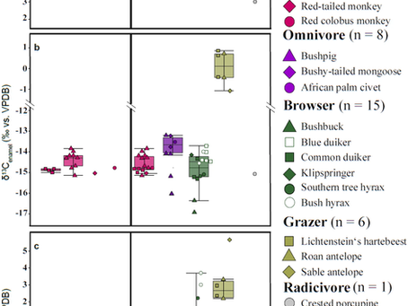 NEW PAPER! Isotopes and chimpanzee dietary ecology