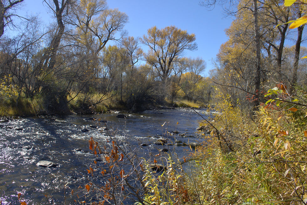 A mountain stream, Clear Creek, flowing out of the Bighorn Mountains and into and beyond Buffalo, Wyoming
