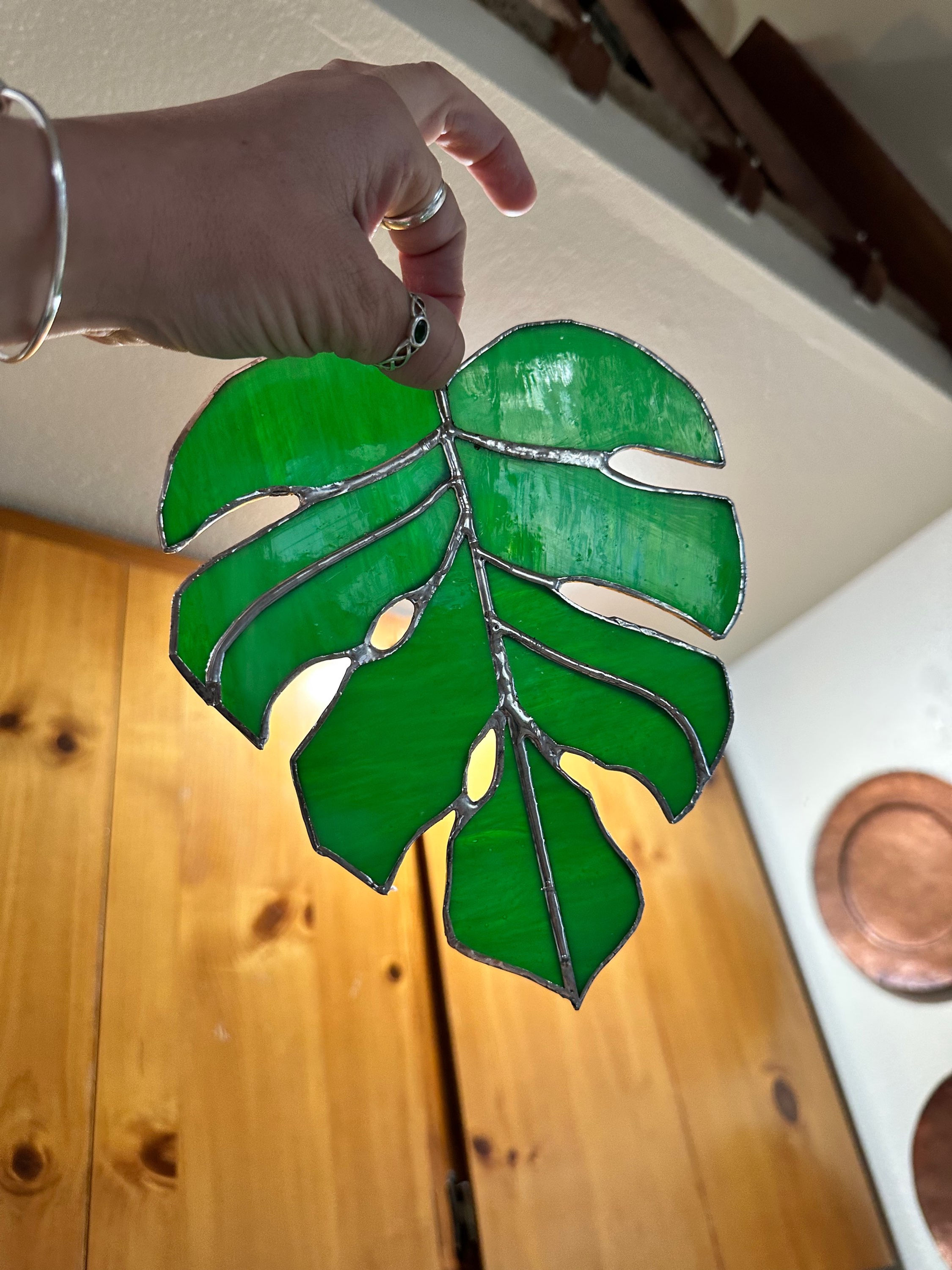 Monstera leaf