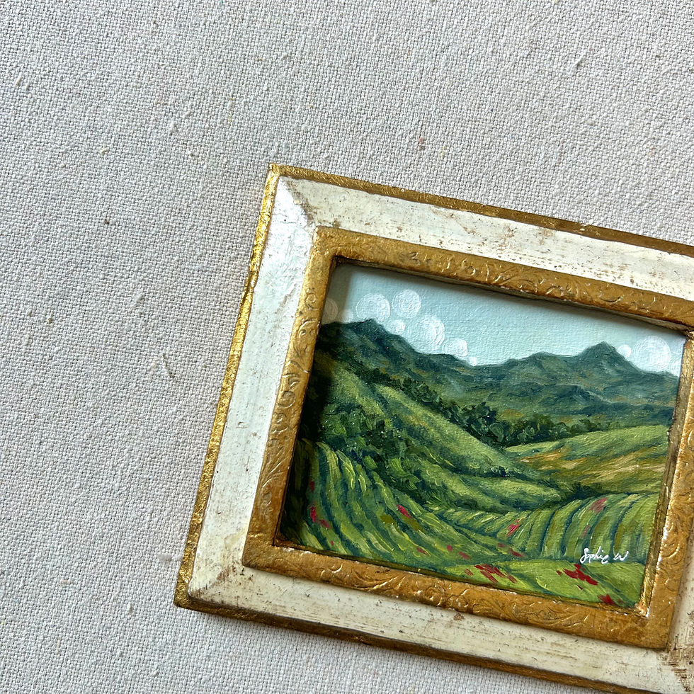 Thumbnail: “The Hills are Brewing”