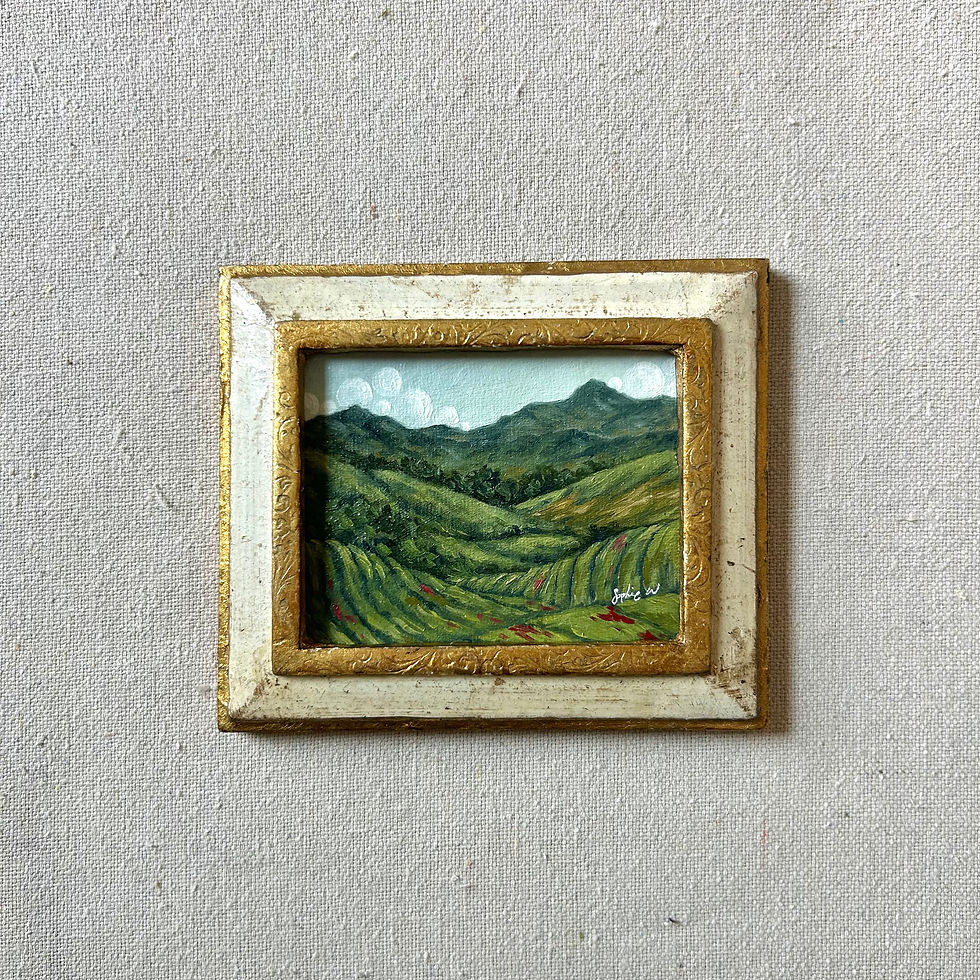 Thumbnail: “The Hills are Brewing”