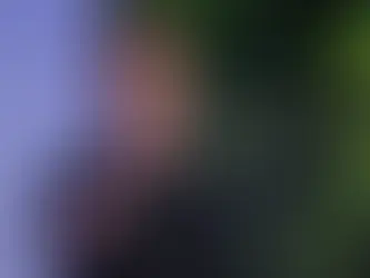 Metaメタバース予算削減 Questへの影響と今後のVR市場動向