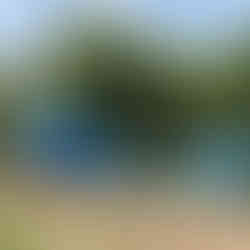 Santa Monica Pier - End of Route 66