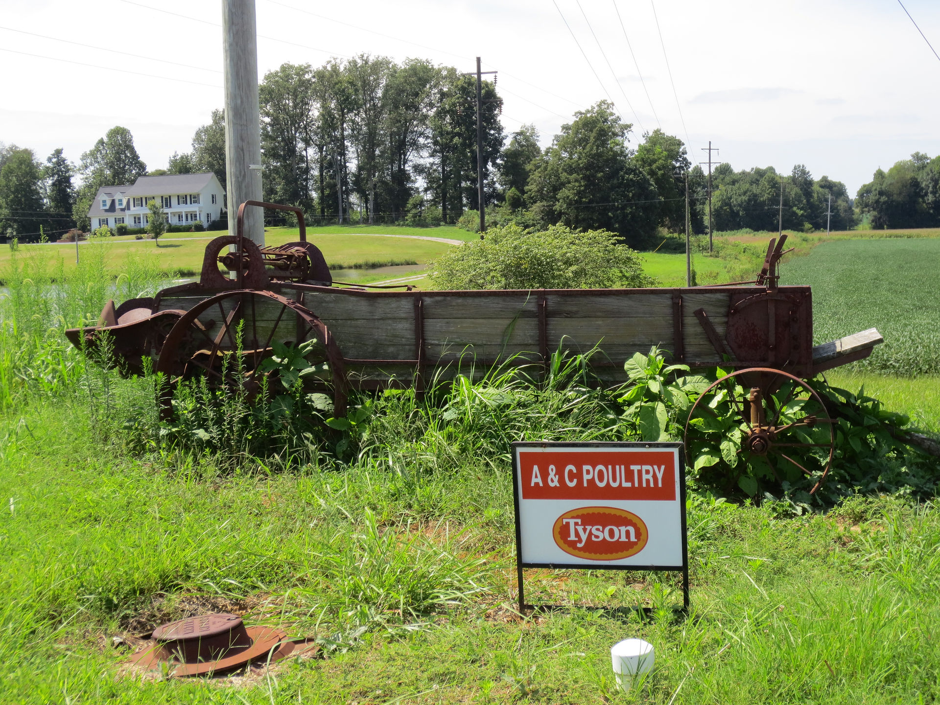 Tyson has several of these farms in western Kentucky