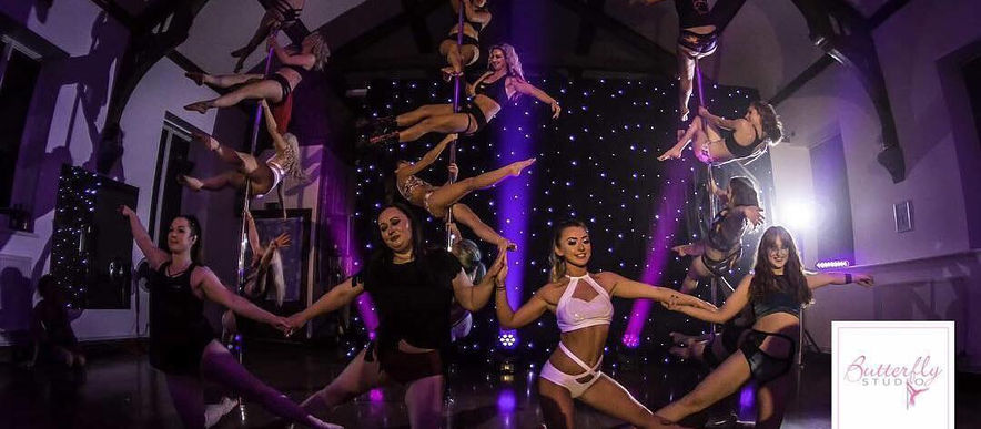 Butterfly Studio Showcase