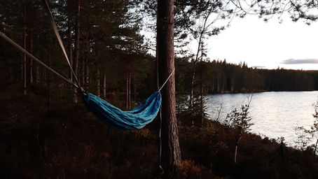 Gear: dangling between the trees; why sleeping in a hammock in Norway is a great outdoor hack