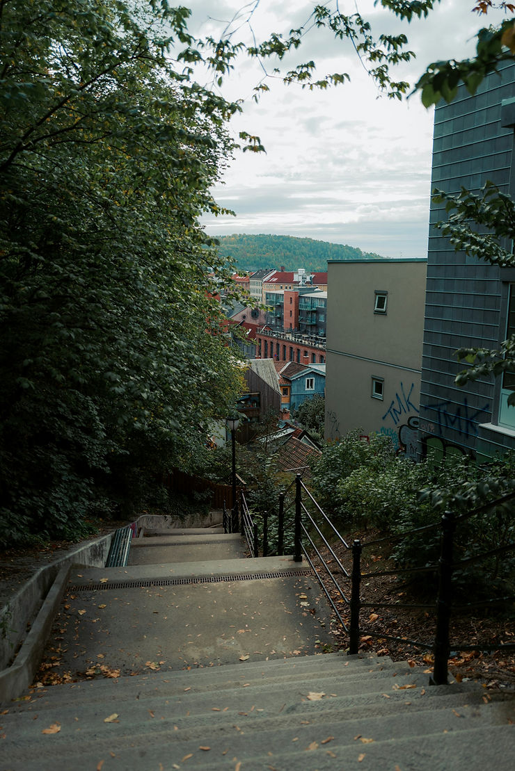 Tøyen in Oslo