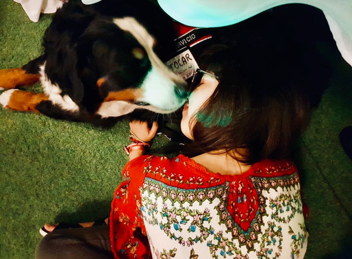 Mi vida junto a Janis, un perro de asistencia