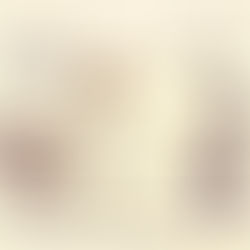 Para que podamos ver un arcoiris, primero debemos soportar la tormenta