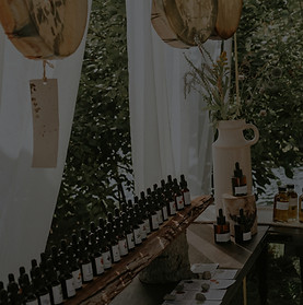 RECLAIMINGEVOLUTION_LauraDarcy-118_edite