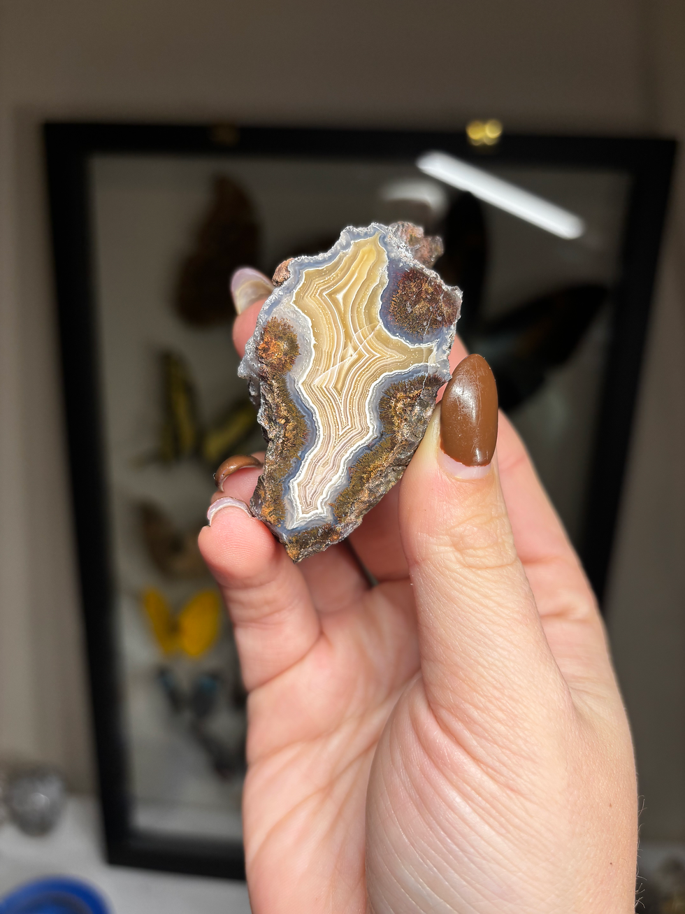 Thumbnail: Laguna Agate Geode